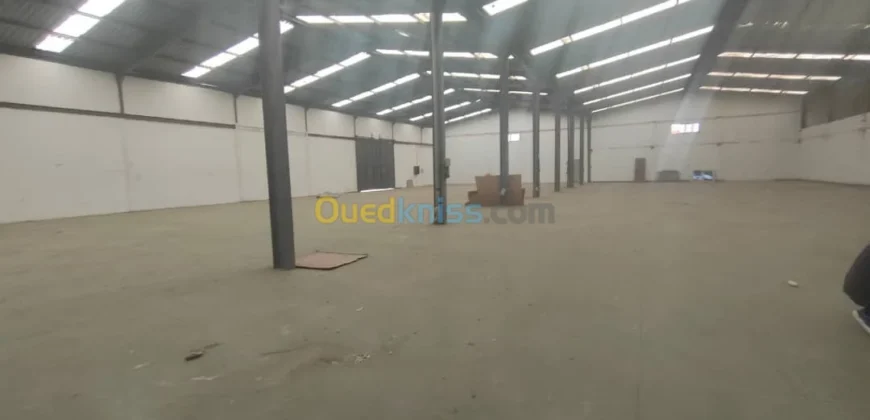Location Hangar Oran Hassi bounif