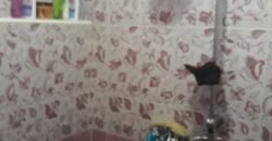 Vent appartement f3 modifier en f2 equipe a yaghmouracen Vent appartement f3 modifier en f2 equipe a yaghmouracen