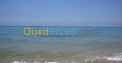 Vente Terrain Mostaganem Stidia 2.50 Million / m² Fixe Vente Terrain Mostaganem Stidia 2.50 Million / m² Fixe