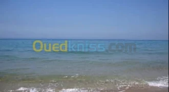 Vente Terrain Mostaganem Stidia 2.50 Million / m² Fixe Vente Terrain Mostaganem Stidia 2.50 Million / m² Fixe