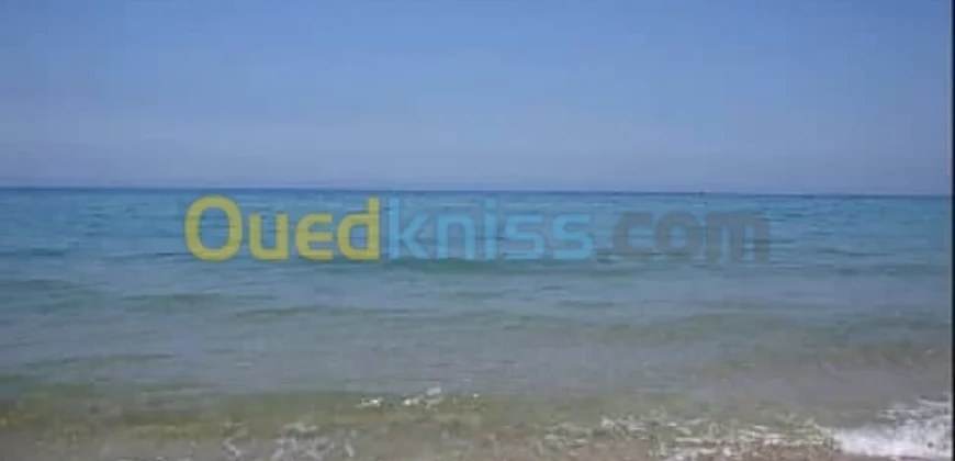 Vente Terrain Mostaganem Stidia 2.50 Million / m² Fixe