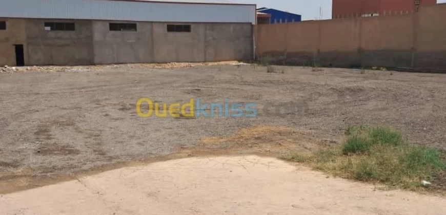 Location Terrain Oran Sidi chami