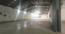 Location Hangar Oran Hassi bounif Location Hangar Oran Hassi bounif