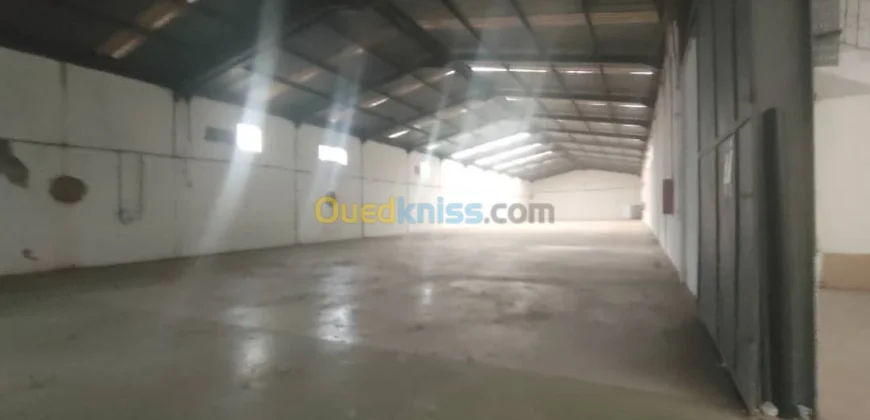 Location Hangar Oran Hassi bounif Location Hangar Oran Hassi bounif