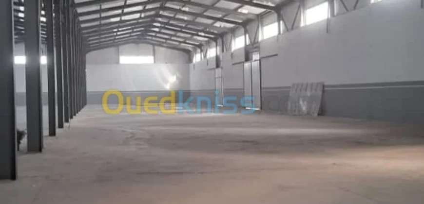 Location Hangar Oran Es senia Location Hangar Oran Es senia