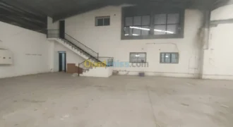 Location Hangar Oran Hassi bounif Location Hangar Oran Hassi bounif
