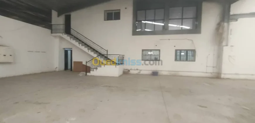 Location Hangar Oran Hassi bounif Location Hangar Oran Hassi bounif