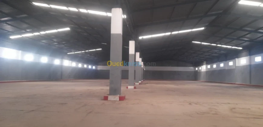 Location Hangar Oran Hassi bounif Location Hangar Oran Hassi bounif