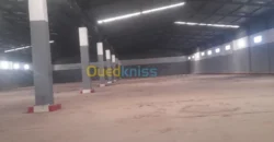 Location Hangar Oran Hassi bounif Location Hangar Oran Hassi bounif