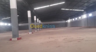 Location Hangar Oran Hassi bounif Location Hangar Oran Hassi bounif