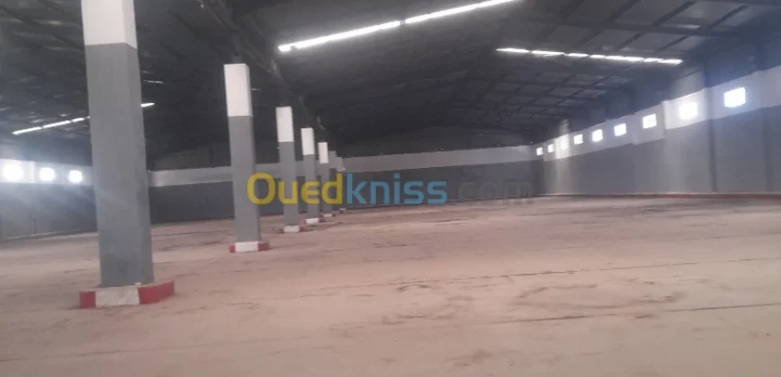 Location Hangar Oran Hassi bounif Location Hangar Oran Hassi bounif