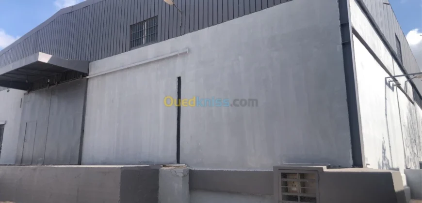Vente Usine Oran Oued tlelat Vente Usine Oran Oued tlelat
