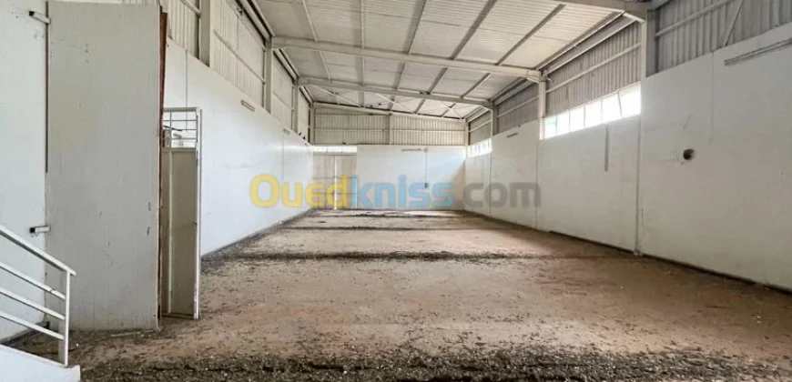 Vente Usine Oran Oued tlelat Vente Usine Oran Oued tlelat
