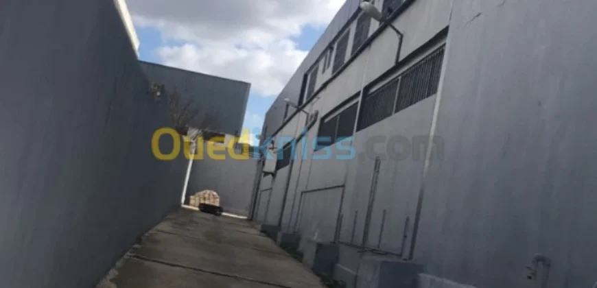 Vente Usine Oran Oued tlelat Vente Usine Oran Oued tlelat