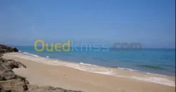 Vente Terrain Mostaganem Stidia 2.50 Million / m² Fixe Vente Terrain Mostaganem Stidia 2.50 Million / m² Fixe