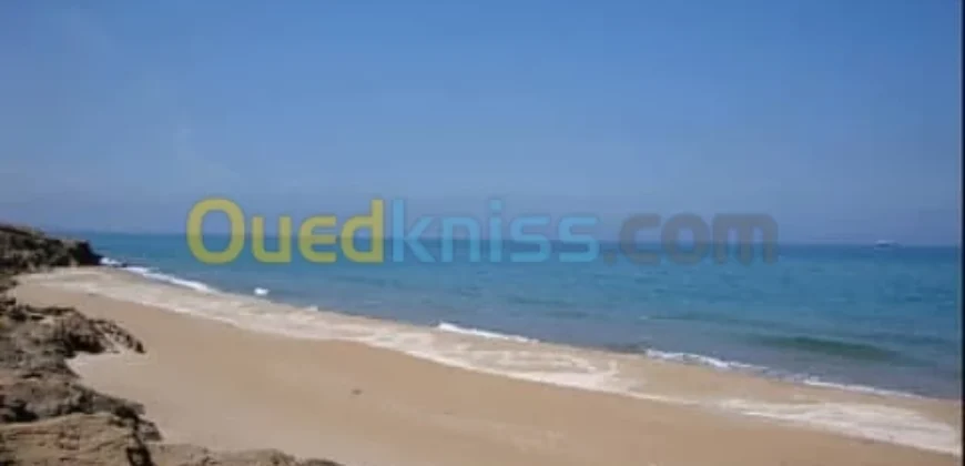 Vente Terrain Mostaganem Stidia 2.50 Million / m² Fixe Vente Terrain Mostaganem Stidia 2.50 Million / m² Fixe