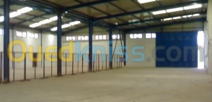 Location Hangar Oran Es senia Location Hangar Oran Es senia