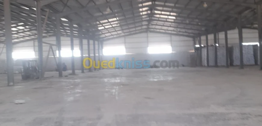Location Hangar Oran Oued tlelat