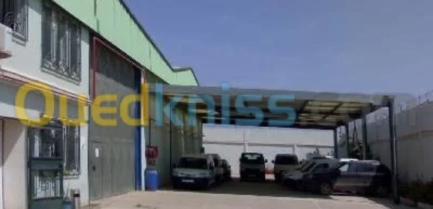 Location Hangar Oran Es senia