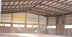 Location Hangar Oran Es senia Location Hangar Oran Es senia