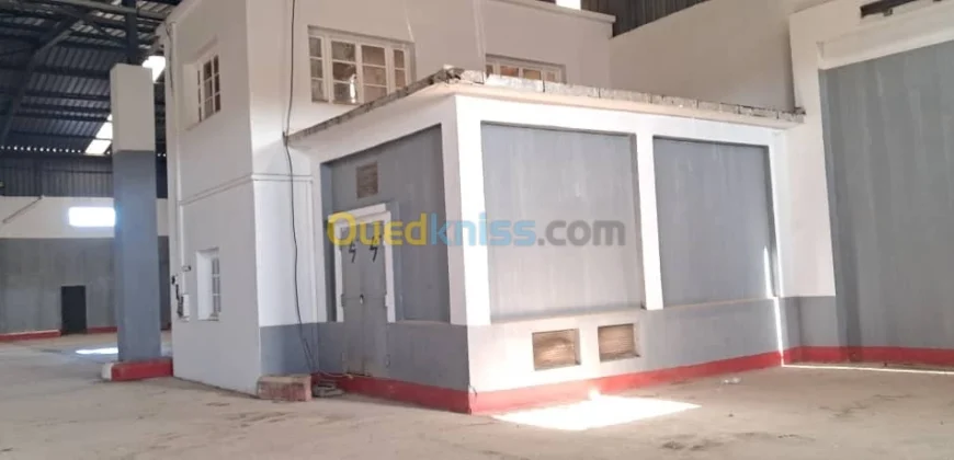 Location Hangar Oran Hassi bounif Location Hangar Oran Hassi bounif