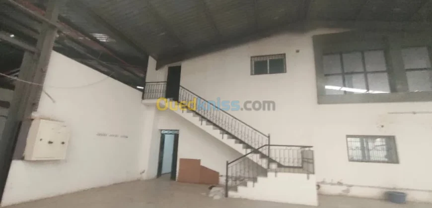 Location Hangar Oran Hassi bounif Location Hangar Oran Hassi bounif