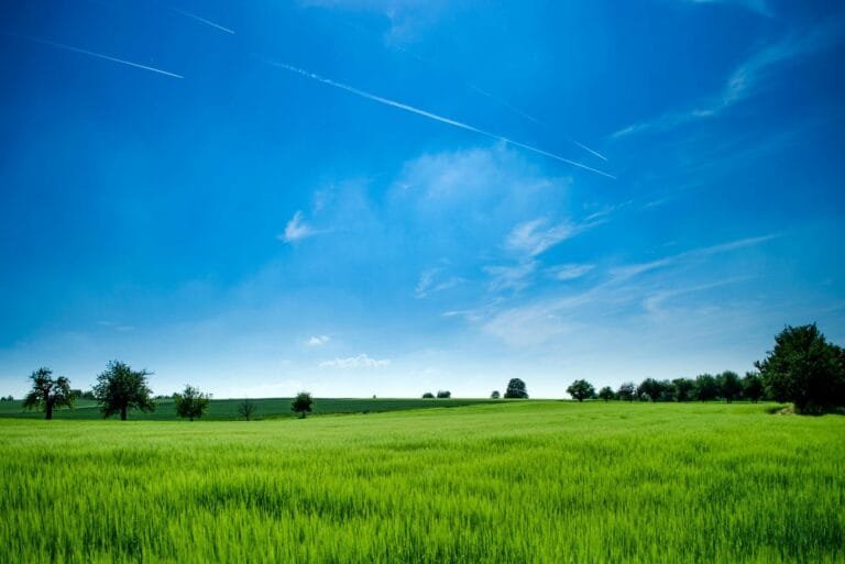 Terrain