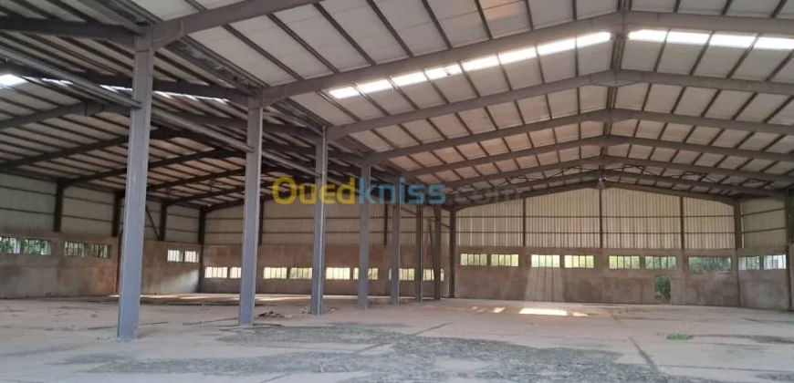 Location Hangar Oran Es senia